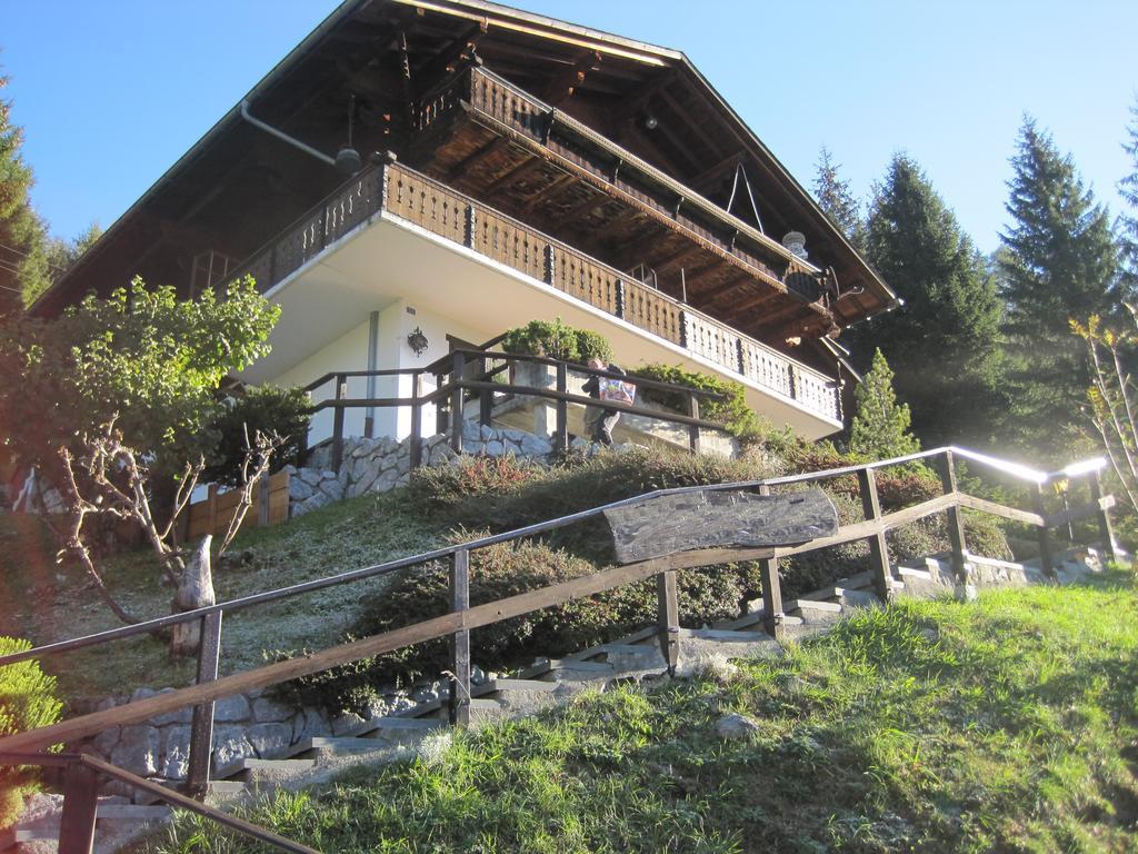 דירות Jaun Chalet Erica מראה חיצוני תמונה