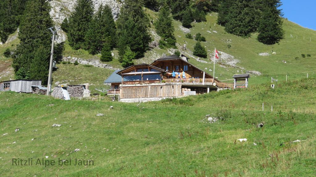 דירות Jaun Chalet Erica מראה חיצוני תמונה